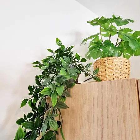 Le Ptit Paradis - Calme - Wifi - Cour Privee - Relax Apartmán *