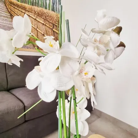 Apartmán Le Ptit Paradis - Calme - Wifi - Cour Privee - Relax