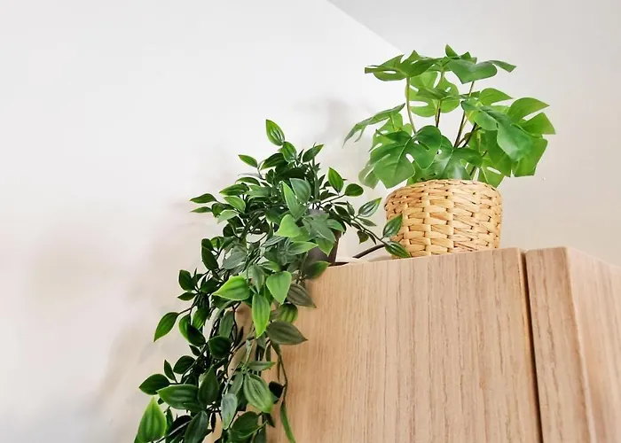 Le Ptit Paradis - Calme - Wifi - Cour Privee - Relax Διαμέρισμα *